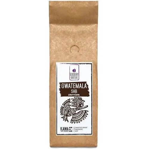 Kawa mielona gwatemala shb 250 g Blueberry roasters