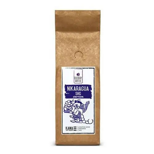 Kawa mielona nikaragua shg 250 g Blueberry roasters